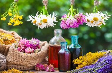 Medicinal herbs and flowers