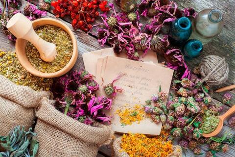 Preparing Herbs for Use